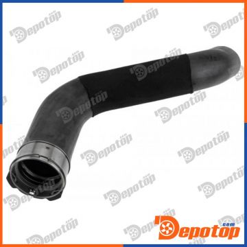 Gaine de suralimentation pour RENAULT | GPP-RE-102, 11615